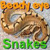 Beady Eye - Snakes