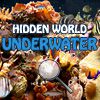 Play Hidden World: Underwater