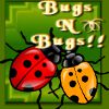 Play BugsNbugs