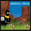 Play ragdoll ninja
