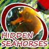 Play Hidden Seahorses