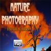 Play Nature Photography - Find the Numbers