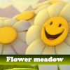 Play Flower meadow