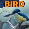 Spot the Difference-Bird A Free Customize Game
