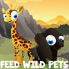 Play Feed Wild Pets