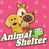 Play Animal Shelter