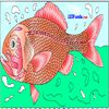 Play Orange Roughy Coloring