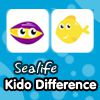 Kido Difference - Sea Life