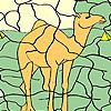 Camel in the desert coloring