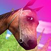 Horse Jumping 4 A Free Driving Game