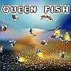 Play Queen Fish