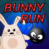 Play Bunny Run