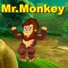 Play Mr.Monkey