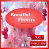 Play Beautiful Flowers - Find The Numbers