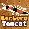 Play Berburu Tomcat