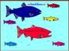Play Salmon Fish Coloring