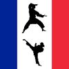 Play Kung Fu France