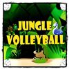 Play Jungle Volleyball