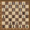 Play Chess millennium