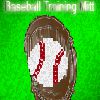 Baseball Training Mitt