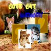 Play Cute Cat Memory