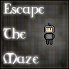 Play Escape The Maze