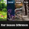 Four Seasons Differences