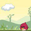 Play Angry Birds Jumping