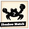 Play Shadow Match
