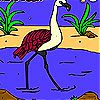 Flamingo in the river coloring