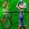 Play Luigi Hidden Stars