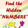 Play Find the hidden "NUMBERS"