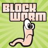 Play Block Worm