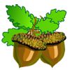 Fight for acorns A Free Fighting Game