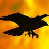 Crow in Hell A Free Adventure Game