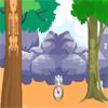 Play Skeleton Forest Escape