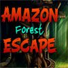 Amazon Forest Escape