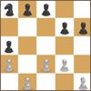 Chess maxi