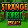 Strange Forest Escape