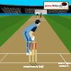 Cricket-Master Blaster A Free Sports Game