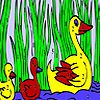 Play Duck family in the lake coloring