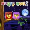 Play Angry Owls