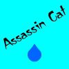 Play Assassin Cat