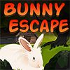 Play Bunny Escape