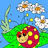 Play Ladybug in the garden coloring