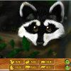 Forest Animals A Free BoardGame Game