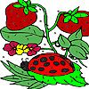 Strawberry garden coloring