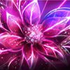 Play Hidden Letters-Fantasy Flowers