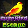 Cute Bird Escape A Free Puzzles Game