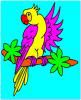 Play parrot coloring